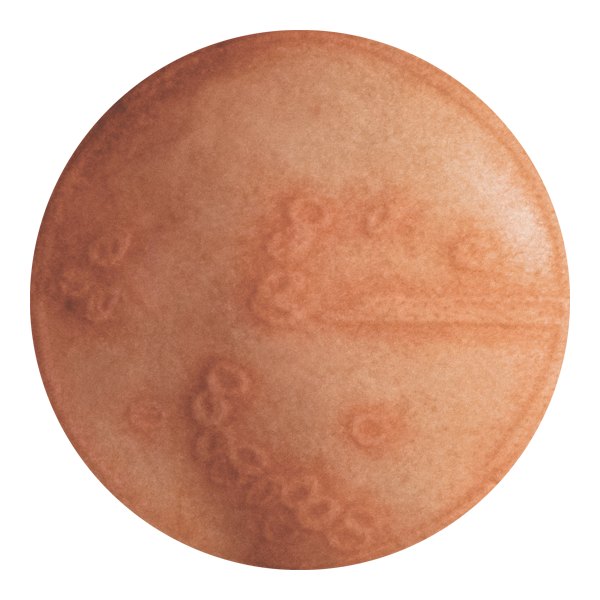 photo of virus v05-051214 