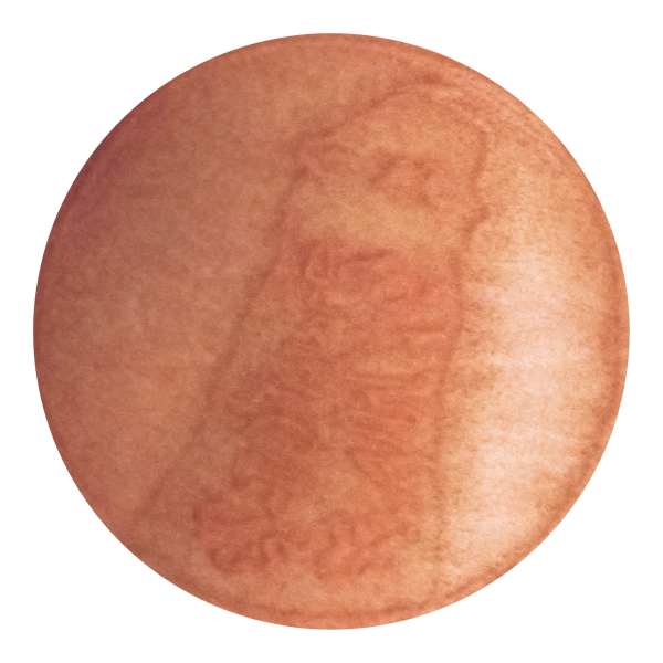 photo of virus v02-011515