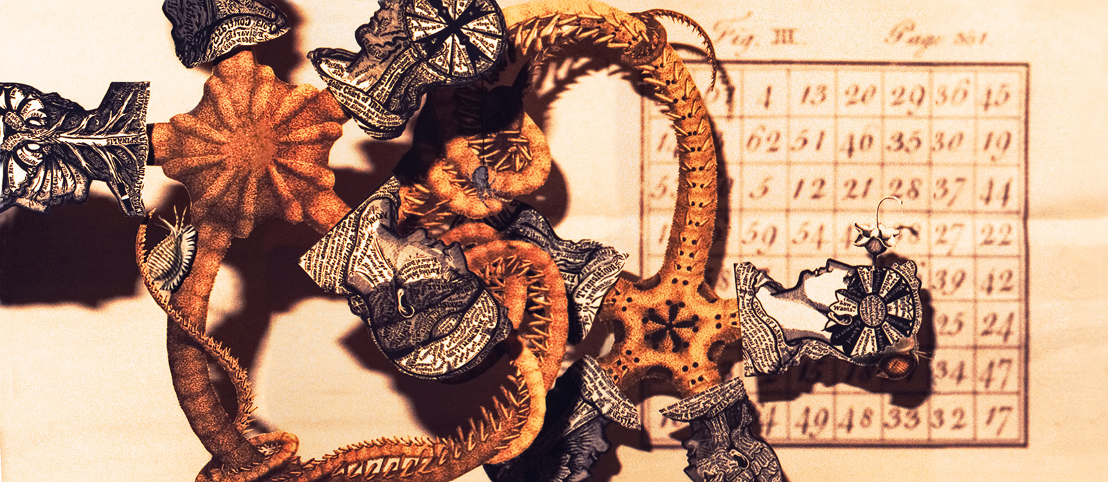 photo of Don't worry... it’s just an appendage. [3]