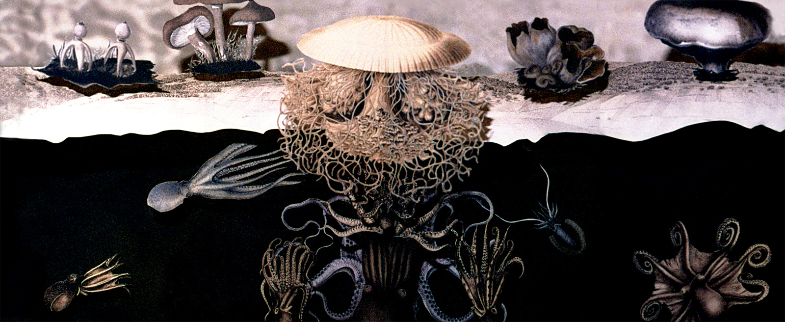 photo of We are all connected to the ground. [6]