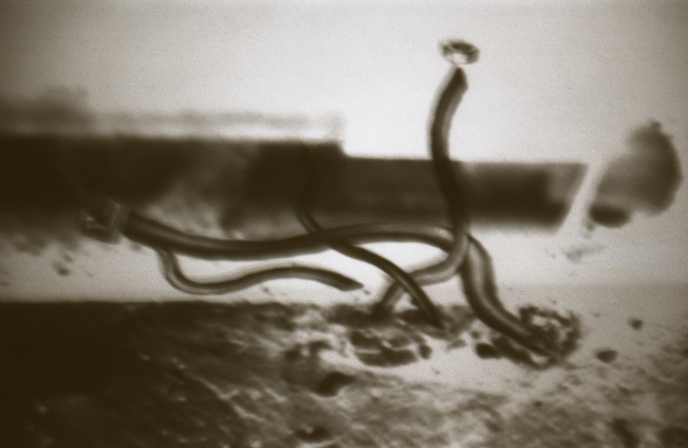 Photo of Boxes in boxes (screen 1)