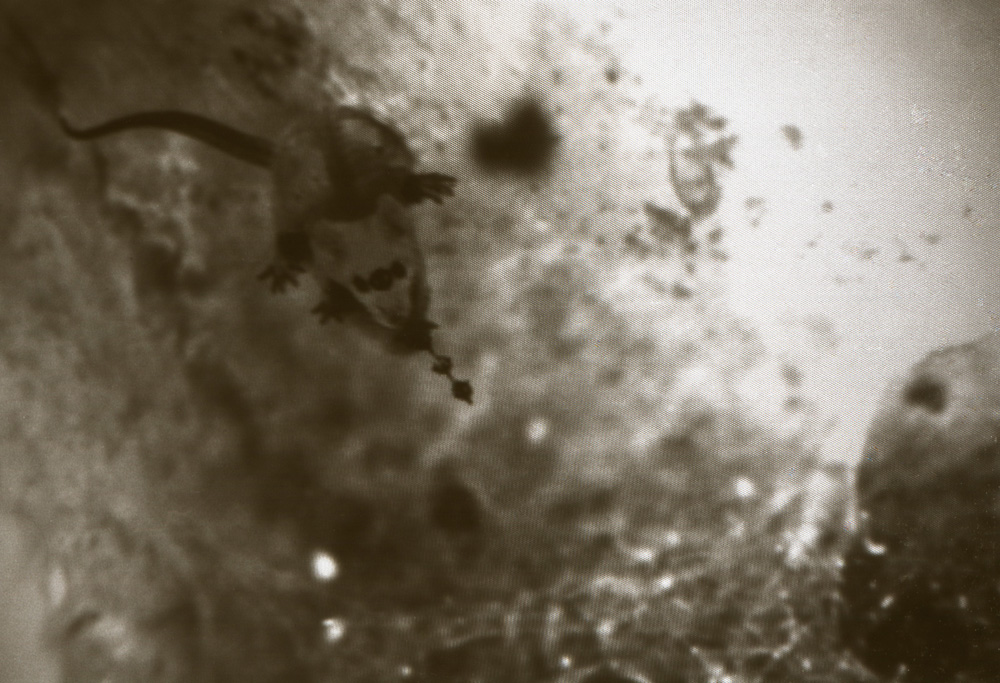 Photo of Boxes in boxes (screen 1)