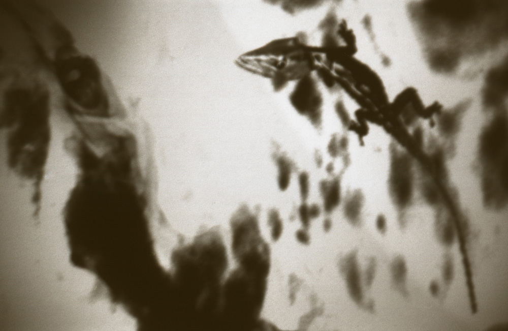 Photo of Boxes in boxes (screen 2)