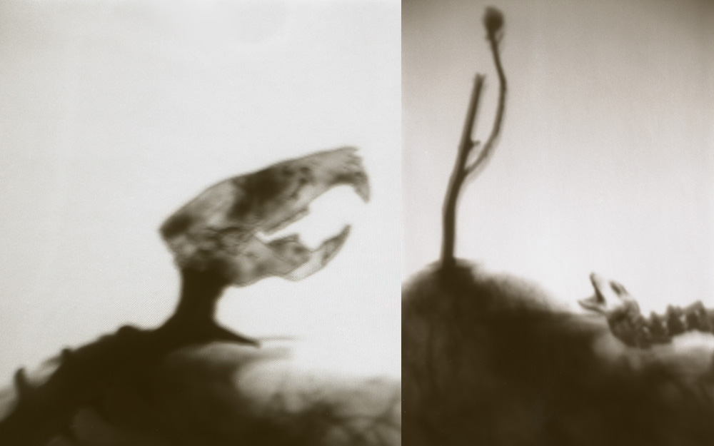 Photo of Boxes in boxes (screen 3)